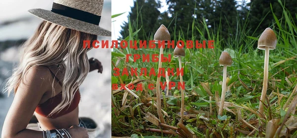 прущая мука Армянск