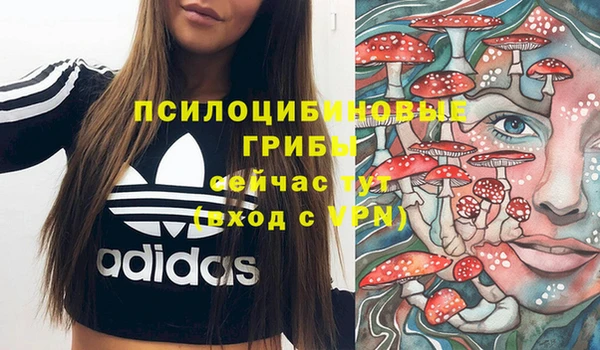 прущая мука Армянск