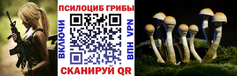 Галлюциногенные грибы ЛСД  Новомосковск 